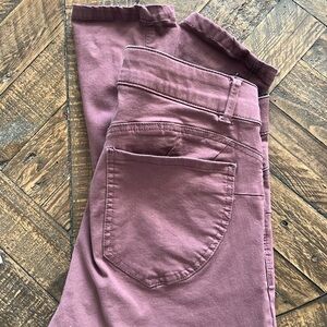 Dusty Rose Democracy Absolution pants